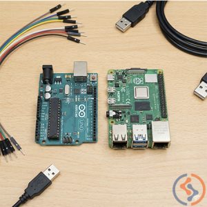 Placas y Microcontroladores